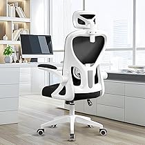 オフィスチェア デスクチェア 人間工学 テレワーク チェア 疲れない ホワイト オフィスチェア デスクチェア 高通気性 人間工学 疲れない 昇降機能