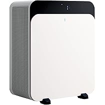 ブルーエアBlueair純正Classic Pro CP7i 交換フィルター2枚 Amazon.co.jp: Blueair 純正交換用フィルター Classic Pro CP7i/6700i