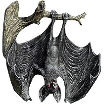 71r9Elz44OL._AC_UL210_SR210,