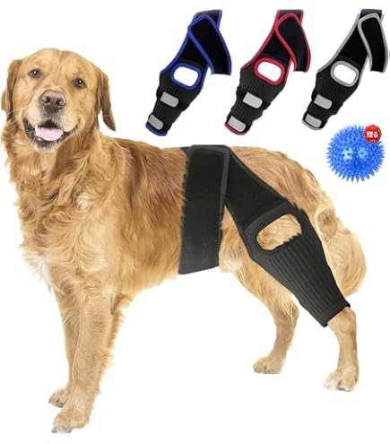 Amazon.co.jp: 犬用膝装具、犬用前十字靭帯膝装具後肢、後肢用犬用脚