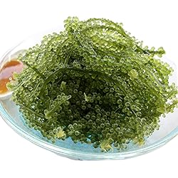 海ぶどうです☆ 2026年発送】宮古島朝採れ海ぶどう（6パック）｜新鮮直送 プチプチ食感