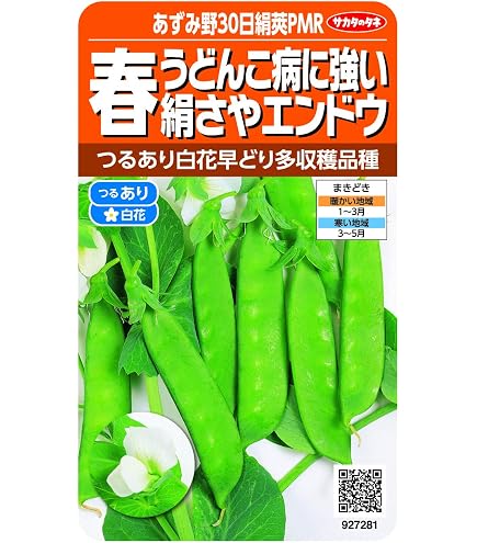 Amazon | サカタのタネ 実咲野菜 エンドウ つるあり大さやスナック