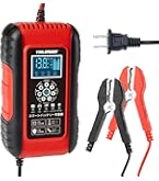 リョクエン（LVYUAN）【正規品】 全自動パルスバッテリー充電器　定格30A 41C2XCiW21L.jpg