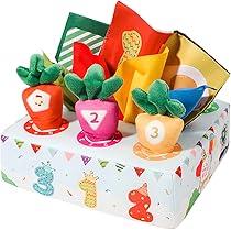 モンテッソーリ教育　布　ペアリング Amazon | [koulaya]モンテッソーリ おもちゃ 【布製 指先訓練