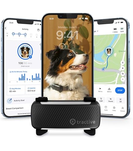 Amazon.co.jp: Pawfit Lite 犬用 4G GPSトラッカー | リアルタイム追跡