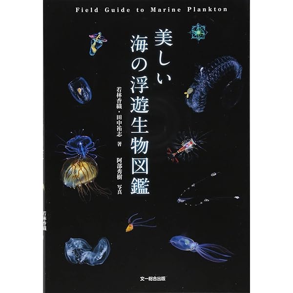 ヨコエビ ガイドブック ヨコエビ ガイドブック | 有山啓之 |本 | 通販 | Amazon