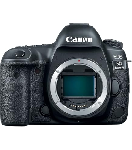 Canon ef 35 1.4 l usm キャノン レンズ Canon EF 35mm f/1.4L II USM Lens : Amazon.ca: Electronics