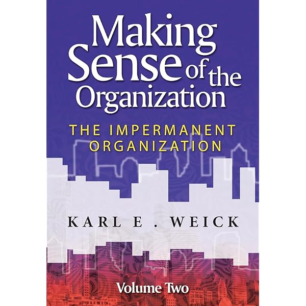 Amazon | Sensemaking in Organizations (Foundations for