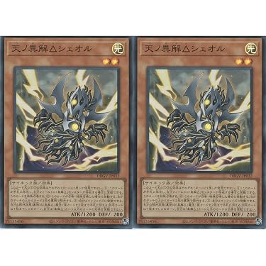 Amazon.co.jp 最新リリース: シングルノンスポーツコレクションカード