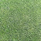 【種 3kg】 ケンタッキーブルーグラス ビーウィッチ 緑化用 芝生用 緑肥 [播種期：3～10月] 雪印種苗 米S代不