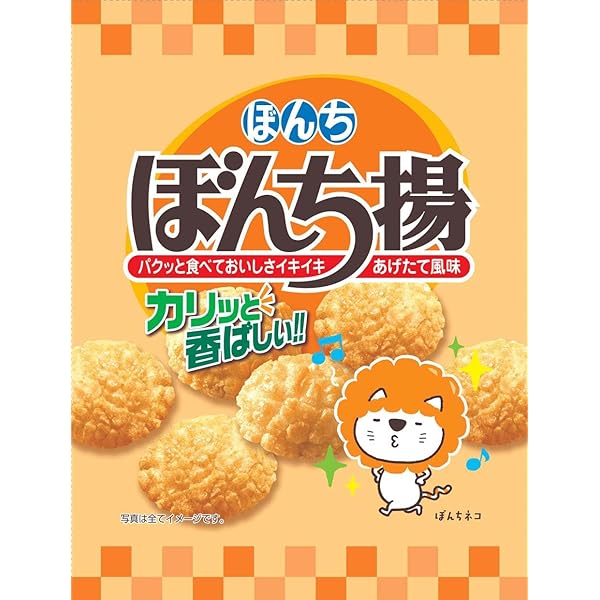 Amazon.co.jp: ぼんち ぼんち揚 チャック付 100g : 食品・飲料・お酒