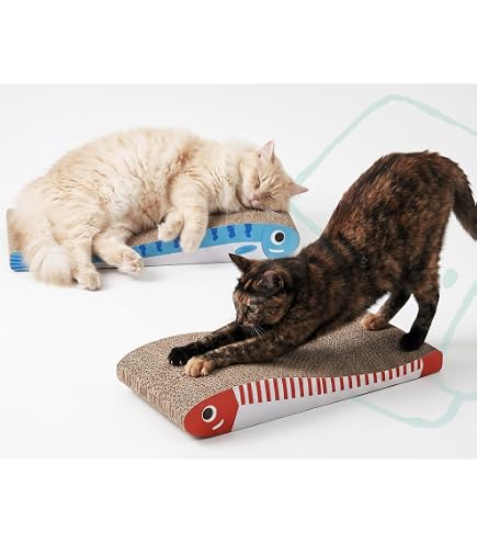 Amazon | PullCrease 38個 子猫用品 スターターキット 猫の必需品