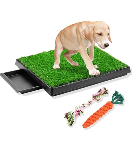 Amazon | ペット犬トイレのおしっこの芝生の芝生、引き出しと
