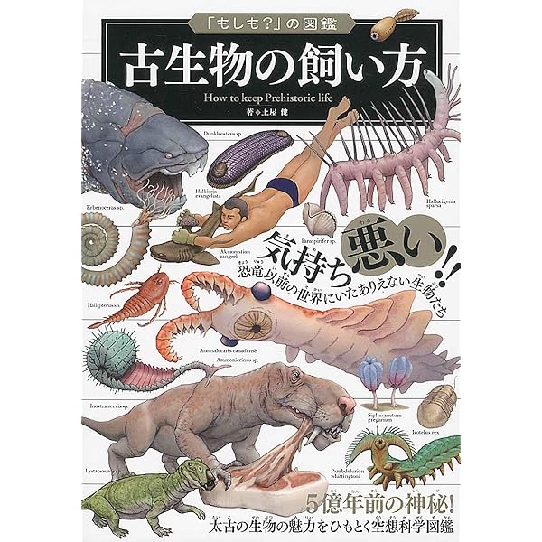Amazon.co.jp: 音楽 (小学館の図鑑NEO POCKET 19) : 神森 徹也, 直川