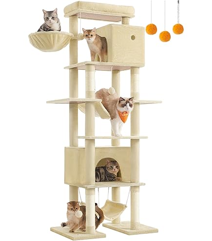 Amazon | Heyblyキャットタワー 多頭飼い最適 高180cm 大型猫用