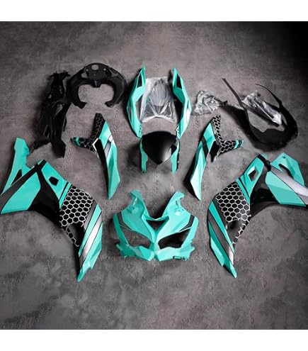 Amazon | HYESUNG バイク外装 適合車種 ZX25R ZX4R ZX4RR 2020-2025用