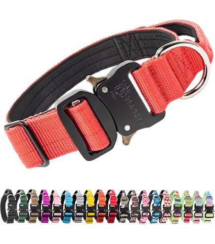 Amazon | 犬の首輪 Luxe birdie Luxeグランマルチカラー 25 ブルー