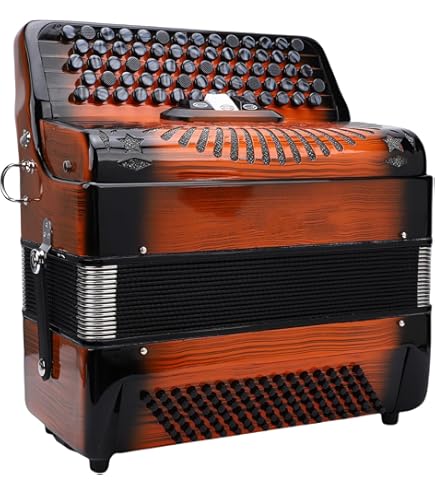 Amazon | ローランド Roland FR-4XB BK V-Accordion ブラック デジタル