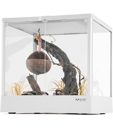 Amazon | 爬虫類 ケージ レオパ ケージ 60x40x40cm 木製飼育ケージ