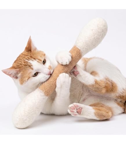 Amazon.co.jp: マタノアツコ 猫のぬいぐるみ : ペット用品