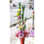 お正月 QHD(540×960)壁紙 迎春アレンジメント 正月アレンジメント お正月 QHD(540×960)壁紙 迎春アレンジメント 正月アレンジメント