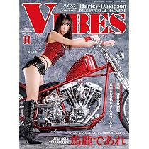 Amazon.co.jp: VIBES (バイブズ) 2025年11月号(vol.385) : 源: 本