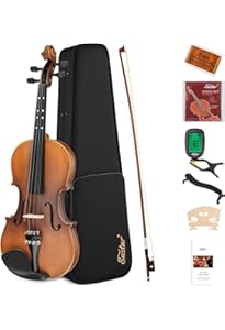 1人で学べる 初心者のためのバイオリン入門 【DVD付】 | 村川 千尋 |本