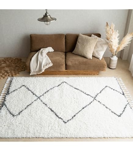 Amazon｜SAFAVIEH (サファビア) Hudson Shag Collection (ハドソン