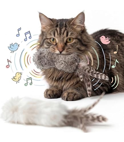 Amazon.co.jp: マタノアツコ 猫のぬいぐるみ : ペット用品