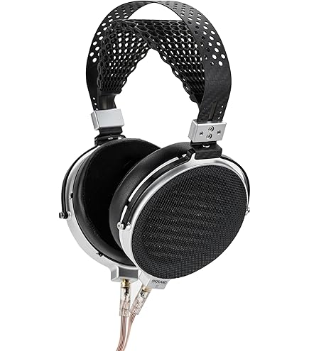 Amazon.co.jp: HIFIMAN ハイファイマン HE1000 Stealth 平面磁界駆動型