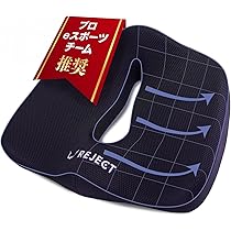Amazon.co.jp: PACEIN ランバーサポート 【 四つ葉可動式】 高反発