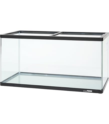 Amazon | ジェックス GEX AQUARIUM ラピレスRV90 LEDセット グランデ