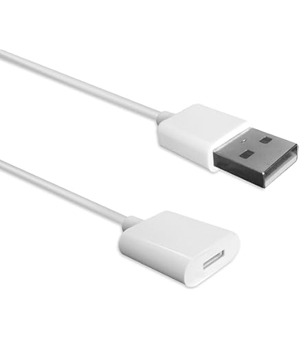 Amazon.co.jp: AHFYCIH USB C to Pencil 1stアダプター iPad A16 第11
