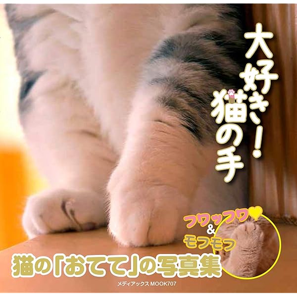 Amazon.co.jp: 猫の手 : 板東 寛司: Japanese Books