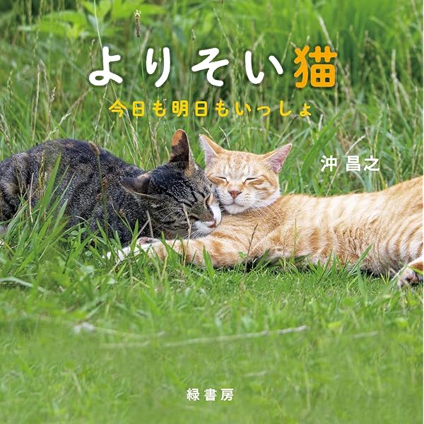 沖昌之の写真絵本1 にゃんこ相撲 下町編 | 沖昌之 |本 | 通販 | Amazon