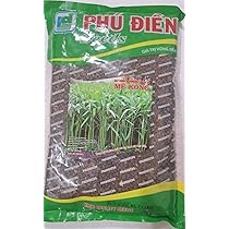 専用★空芯菜の種【1kg】 新潟県産 空芯菜（空心菜 エンサイ）1kg｜Yahoo!フリマ（旧