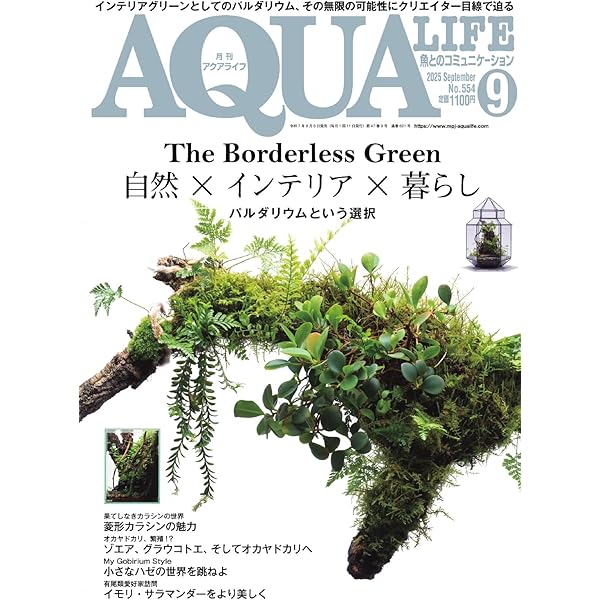 アクアプランツ 2006（No.3）～2019（No.16）13冊セット アクア