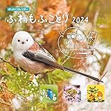 【購入者限定特典付き】ましかくカレンダー ふわもふことり2024（「かわいいシマエナガのスマホ壁紙」データ配信） (インプレスカレンダー2024)