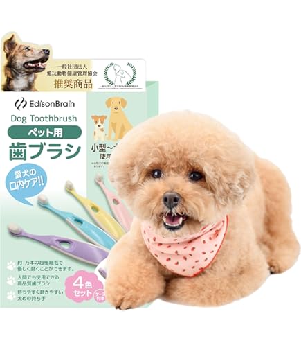 Amazon | ベッツワン 国産 犬猫用歯磨きペーストプラス チキン