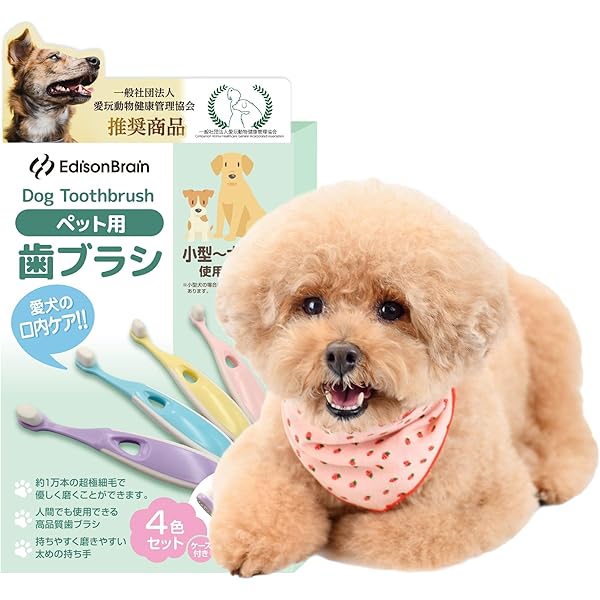 犬用 猫用 歯ブラシ 歯磨き ラウンド型 中型犬 大型犬　歯のクリーニング　4個 Amazon.co.jp: 犬 歯ブラシ 小型犬 【小動物歯科研究医が監修x1