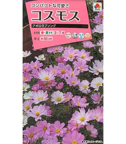 Amazon.co.jp: サカタのタネ コスモス センセーションミックス 景観用