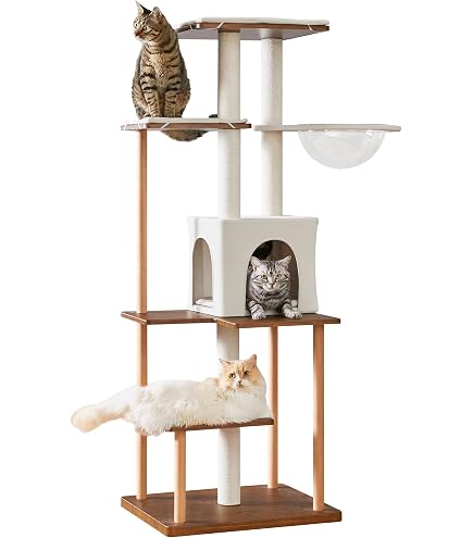 Amazon | Mauタワービアンカ | Mau | キャットタワー 通販