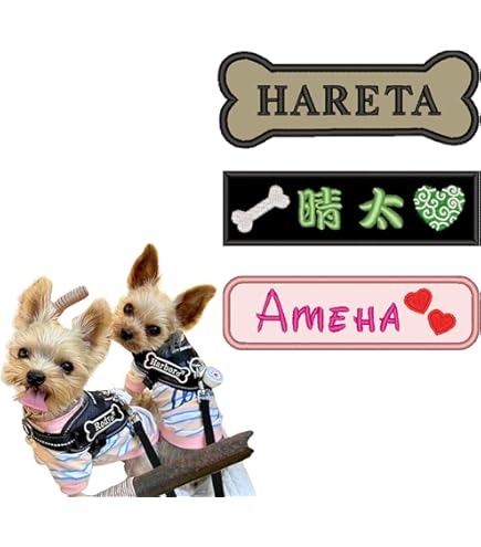 Amazon.co.jp: 紙タグ付 コモアンドレイ レドリィ S レドリー 子犬の