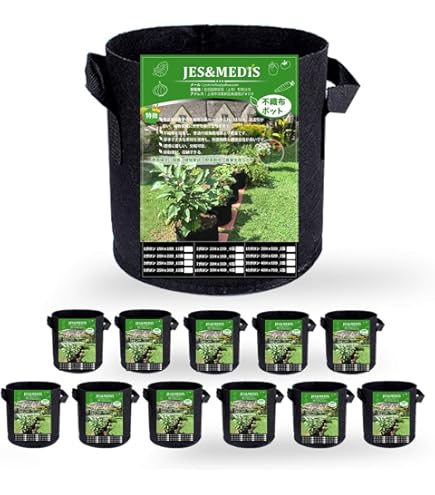 Amazon.co.jp: セット 鶴仙園 × lockfield equipment コラボ 鉢
