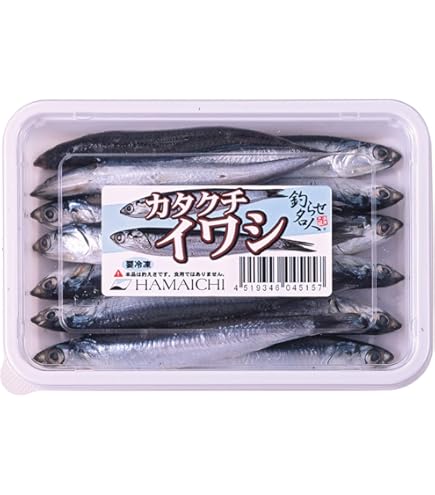 hide　冷凍キビナゴ10㌔ 餌、食用可。500㌘ずつ分けて冷凍 Amazon | ヒロキュー 冷凍キビナゴ 真空500g徳用パック 釣り
