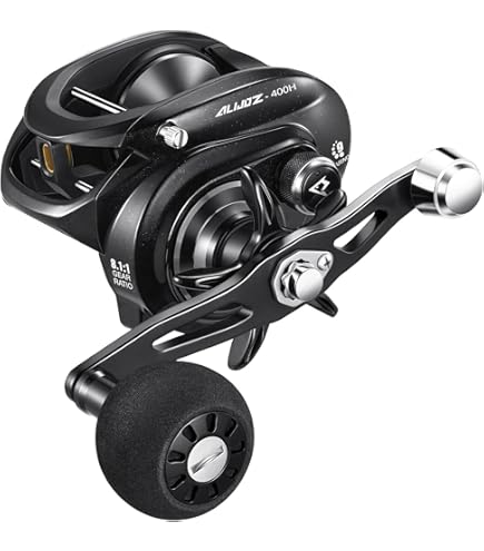 DAIWA TIERRA LJ IC300H Bait Reel with Counter : Amazon.sg