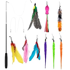 猫おもちゃ ColiChili 猫じゃらし 天然 羽のおもちゃ 交換用羽 9 個 棒鈴付き 交換用釣り糸2個 ぶらぶら…