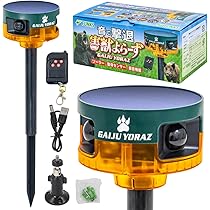 タントラー狂気の智慧 71sBhTjwyNL._AC_UL210_SR210,