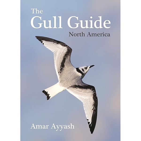Amazon | Gulls Of North America, Europe, And Asia | Olsen, Klaus