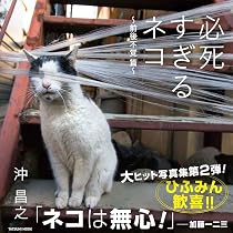 必死すぎるネコ ~前後不覚 篇 (タツミムック) | 沖 昌之 |本 | 通販